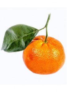 tangerine oil